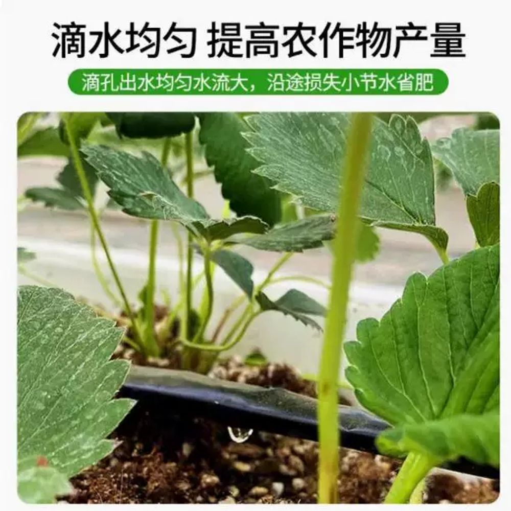 연질 점적관 호스 간격 점적테이프 점적 관수 - 상세 이미지 3