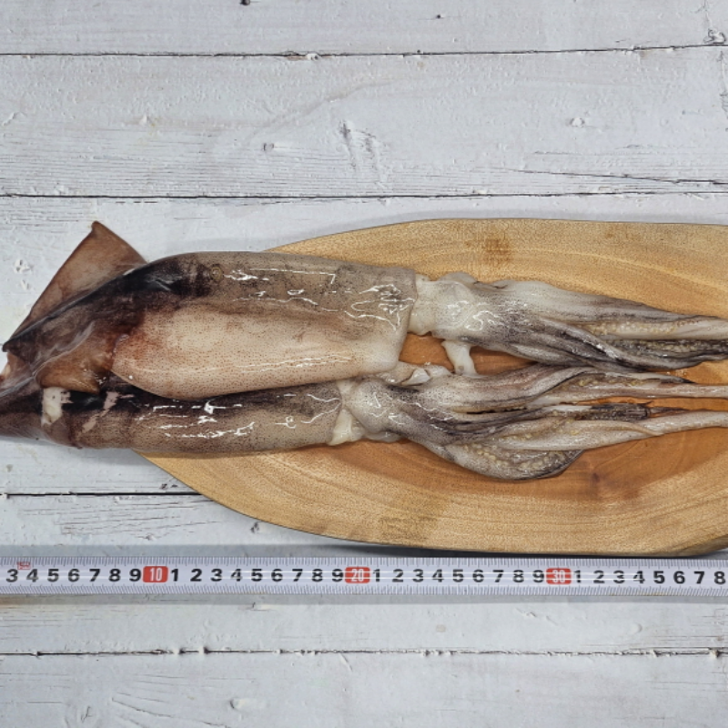 자연가득 국내산 손질 오징어 3미 800g 내외 - 상세 이미지 4