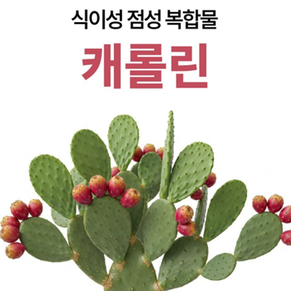 살므시 프리미엄 케롤린 정 캐롤린 포만감 유지 식사량 식욕 체중 관리 60정, 6개 - 상세 이미지 3