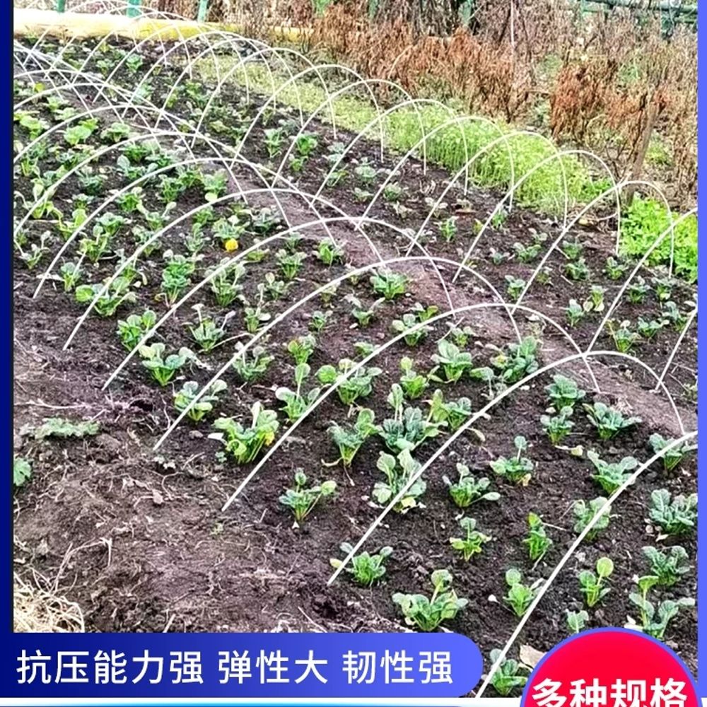 아치형 비닐하우스 농장 야채 지지대 폴대 뮤뮤하우스 창고 - 상세 이미지 4