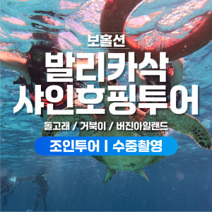 보홀 호핑투어 발리카삭 거북이 버진아일랜드 돌고래 스노쿨링 수중촬영 솔직 후기 | 실사용자 리뷰 분석 - 상품 이미지 1