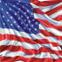 USA PET 로고