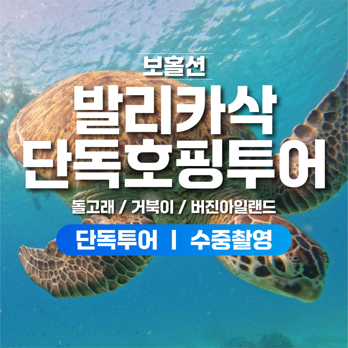 보홀 호핑투어 프라이빗투어 발리카삭 거북이 돌고래 스노클링 버진아일랜드 수중촬영 가격 비교 보라카이션 보홀 호핑투어 프라이빗투어 발리카삭 거북이 돌고래 스노클링 버진아일랜드 수중촬영