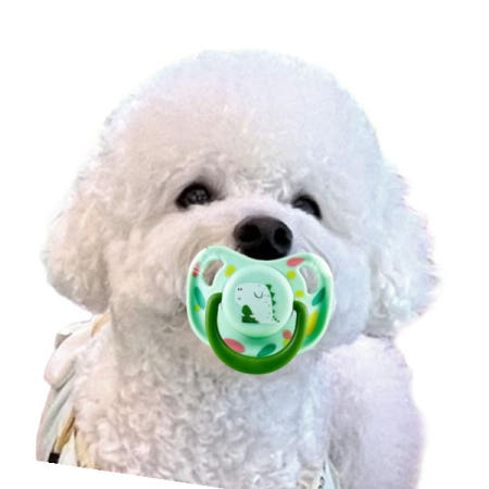 애견쪽쪽이 강아지 애견 심신안정 치발기 장난감 인생샷 쪽쪽이