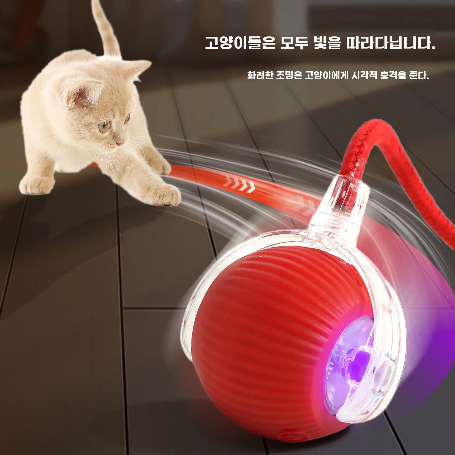 강아지 움직이는 장난감 공 혼자놀기 애견 공놀이 공던지기 A. 꼬리 굴리기 공 - 빨간색 - 상세 이미지 2