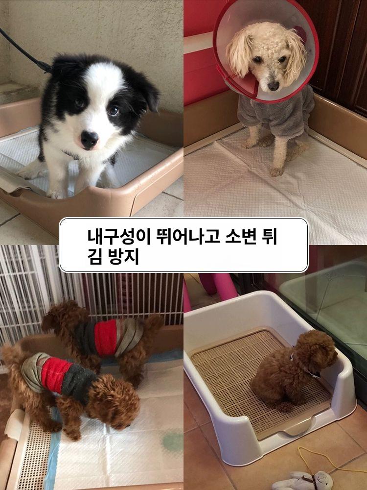 대형견배변판 특대형 강아지 화장실 배변판 소변 하수구 대형 가능 중형견 훈련 래브라도 - 상세 이미지 2