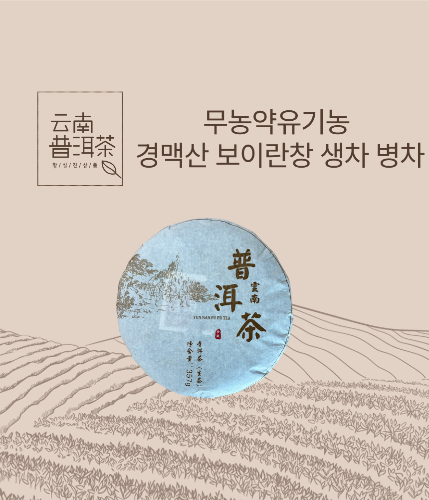 운남성보이차 경맥산 보이란창 중국 명품보이차 생차 병차 - 상품 이미지