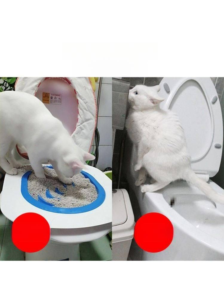 고양이 배변기 가정용 반려묘 배변 좌변기 훈련 훈련키트 블루 내부 트레이 포함 1개 B - 상세 이미지 2