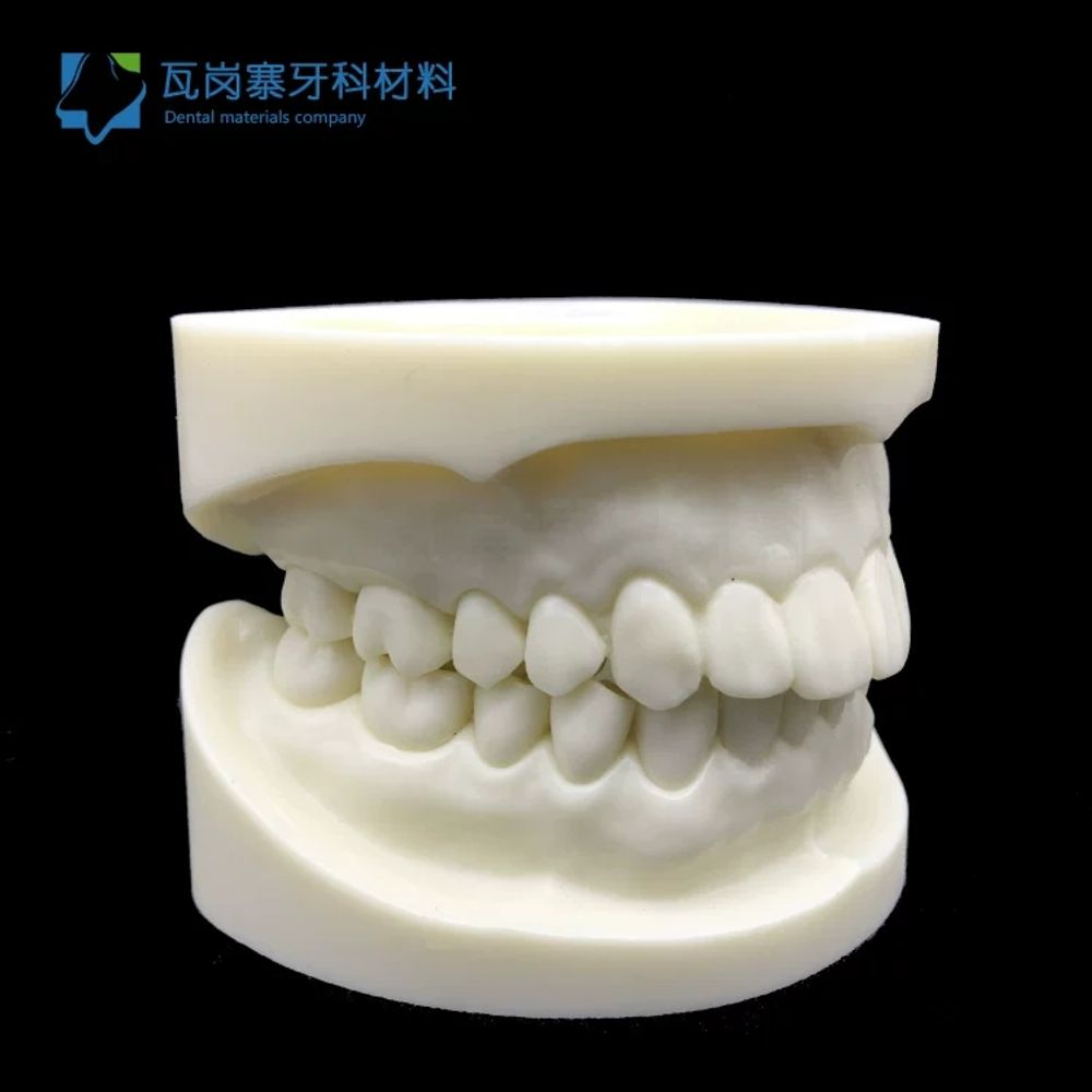 모델 구강 실습 스케일링 모형 이빨 분리 덴티폼 A. 흰색 커런덤 조각 한 쌍위턱과 아래턱 - 상세 이미지 4