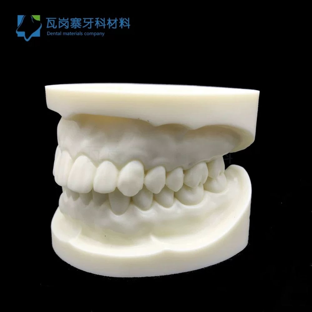 모델 구강 실습 스케일링 모형 이빨 분리 덴티폼 A. 흰색 커런덤 조각 한 쌍위턱과 아래턱 - 상세 이미지 3