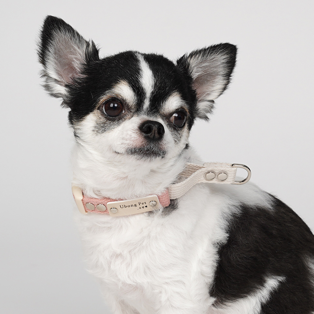 순면 마틴게일 소형견 중형견 강아지 인식표 목줄 이미지 3