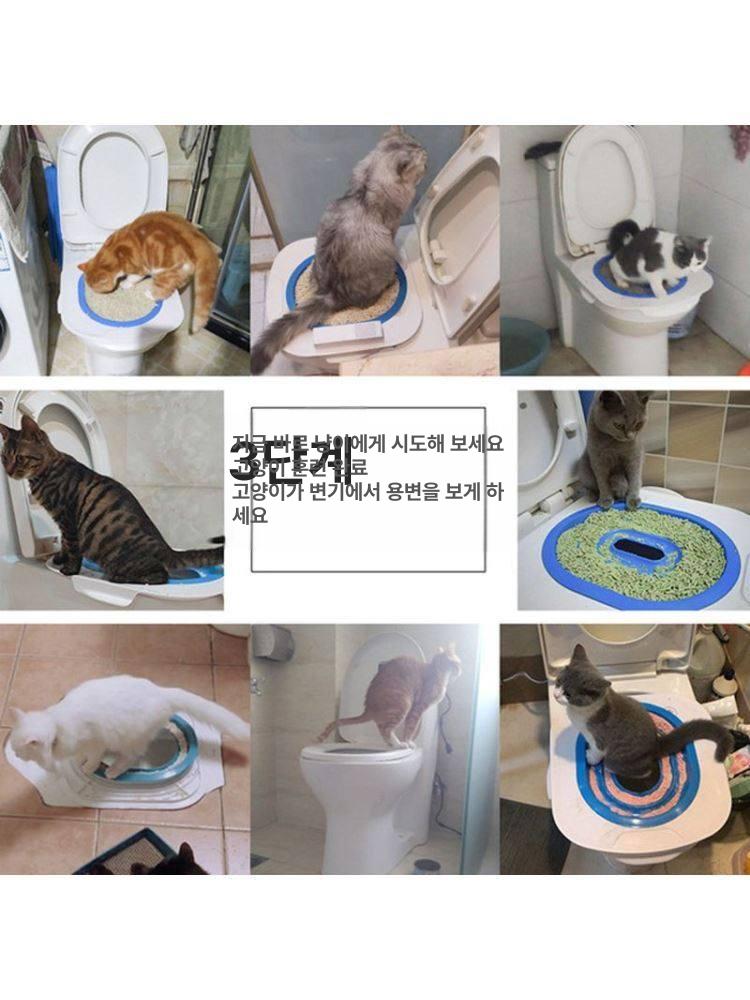 고양이 배변기 가정용 반려묘 배변 좌변기 훈련 훈련키트 블루 내부 트레이 포함 1개 B - 상세 이미지 4