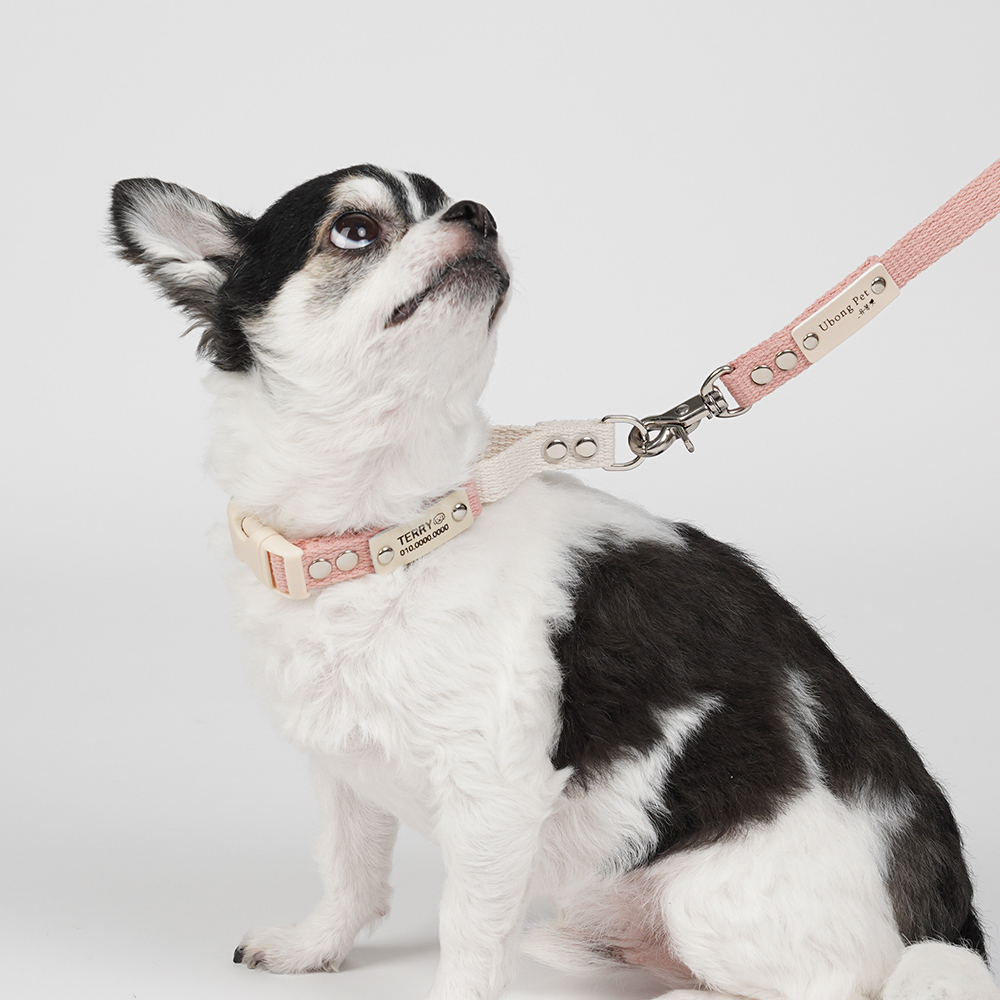 순면 마틴게일 소형견 중형견 강아지 인식표 목줄 이미지 2