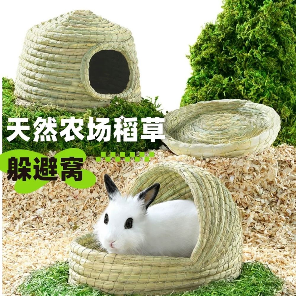 야외 설치류 둥지 닭둥지 도어형 이동식 산란 네스트 - 상세 이미지 3