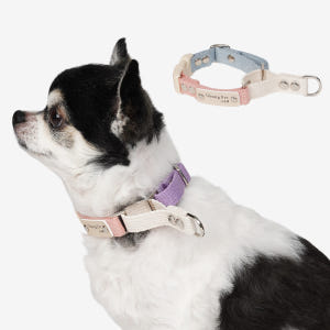 순면 마틴게일 소형견 중형견 강아지 인식표 목줄 솔직 후기 | 실제 사용자 리뷰 총정리 - 상품 이미지 1