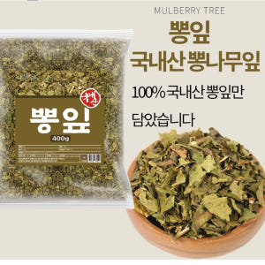 국산 말린 뽕잎 건재 400g 국내산 뽕나무 잎 건조 뽕잎 맛있게 먹은 솔직 후기 - 상품 이미지 3