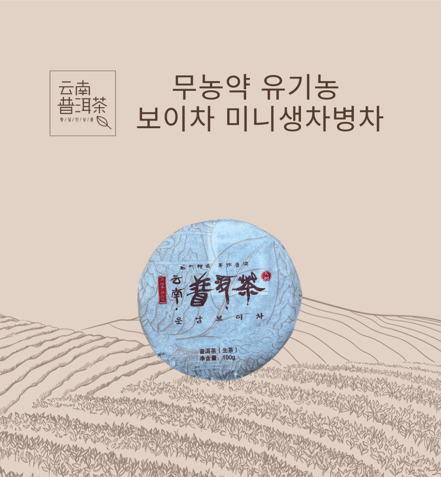 운남성 보이차 푸얼차 고급 중국보이차 미니생차병차 100g - 상품 이미지