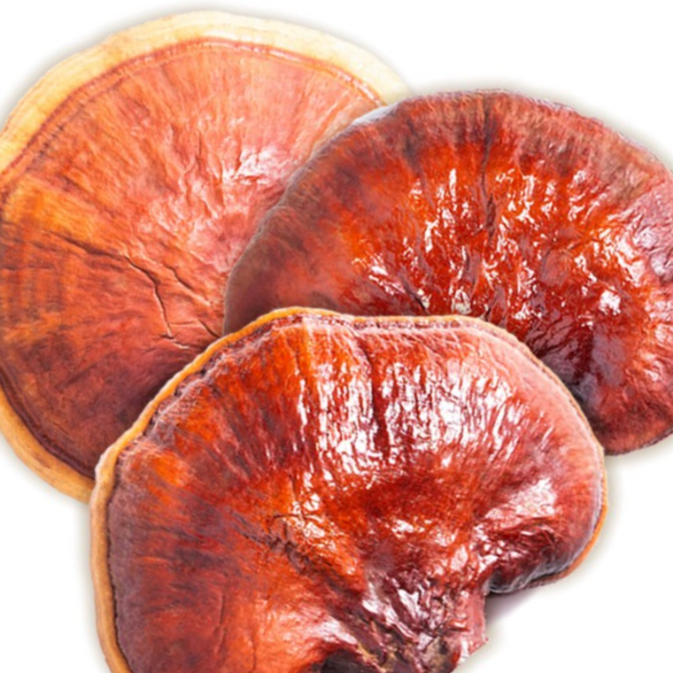 국산 영지버섯 1kg - 상품 이미지