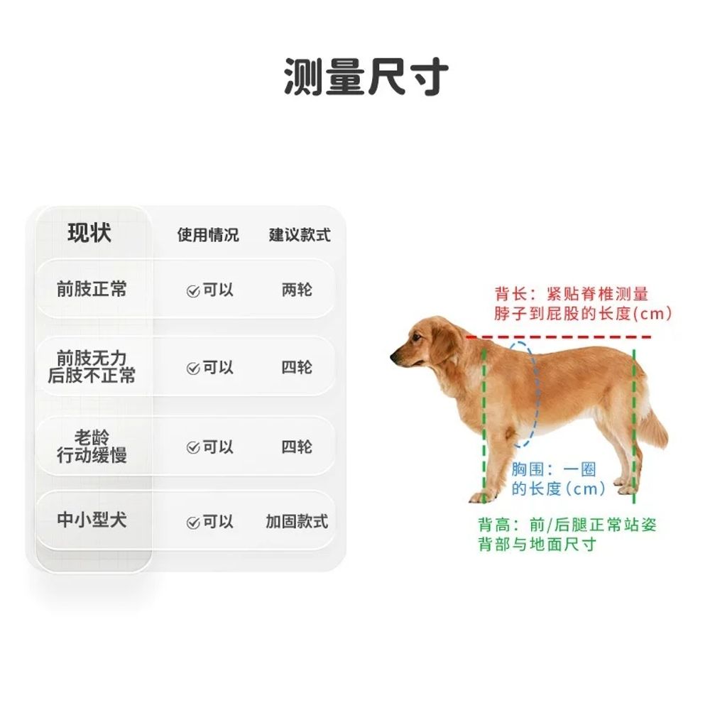 보행기 강아지 뒷다리 반려견 강아지뒷다리보행기 - 상세 이미지 4