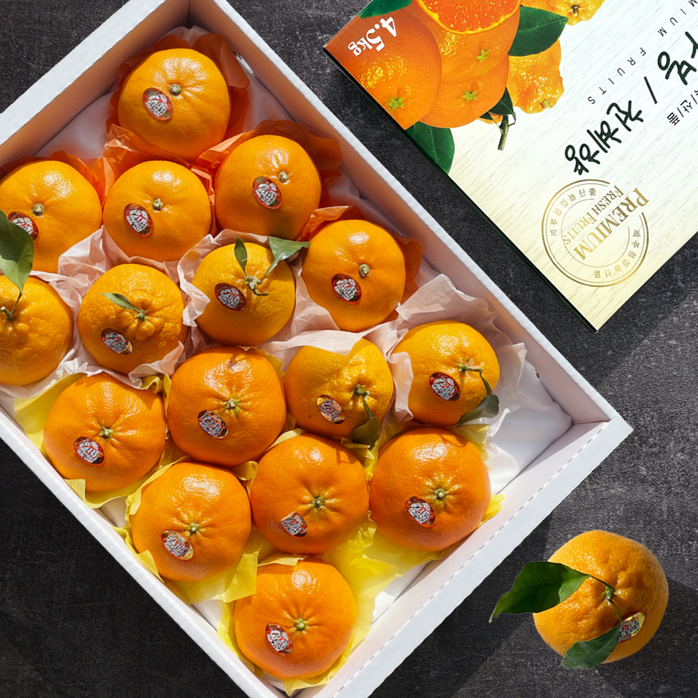제주황금향 노지 서귀포 황금향선물용세트 3kg 5kg - 상품 이미지