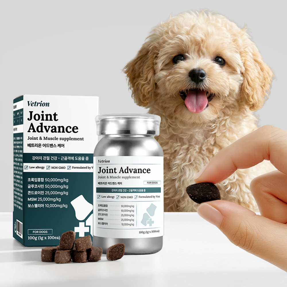 베트리온 강아지 관절 영양제 슬개골 조인트 어드밴스 100정, 1개