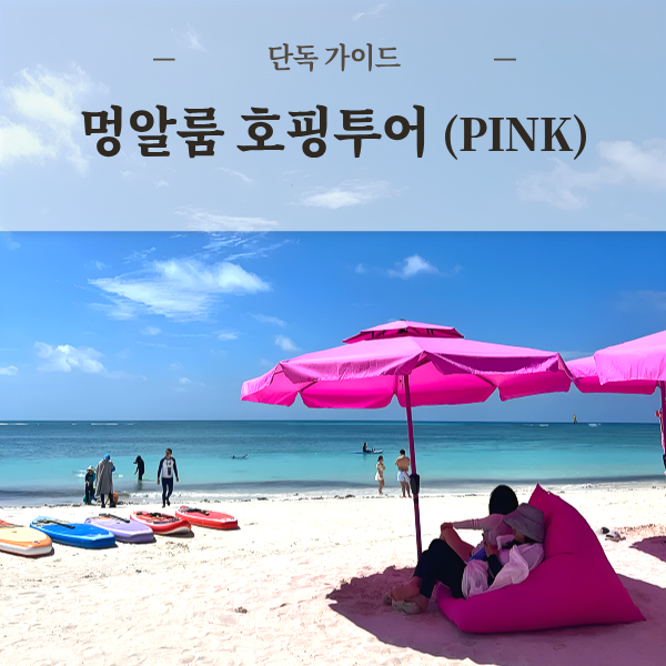 코타키나발루 멍알룸섬 호핑투어 신규 핑크비치 NEW 멍알룸섬투어 단독투어 프리다이빙