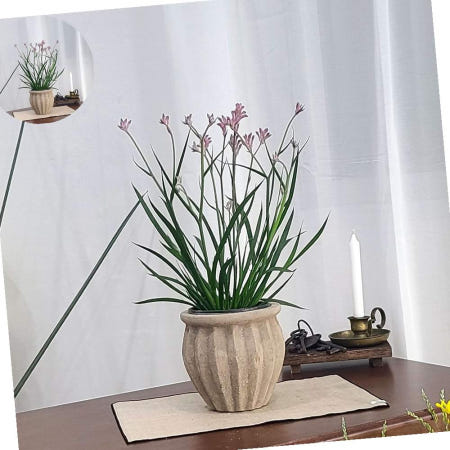 빈티지 아쿠아 토분 HN30407 14x18cm 플리츠단지