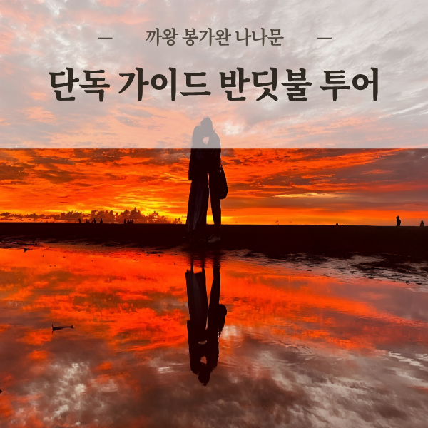 코타키나발루 반딧불투어 단독투어 프라이빗 가이드 차량 선셋 맹그로브 까왕 봉가완 나나문