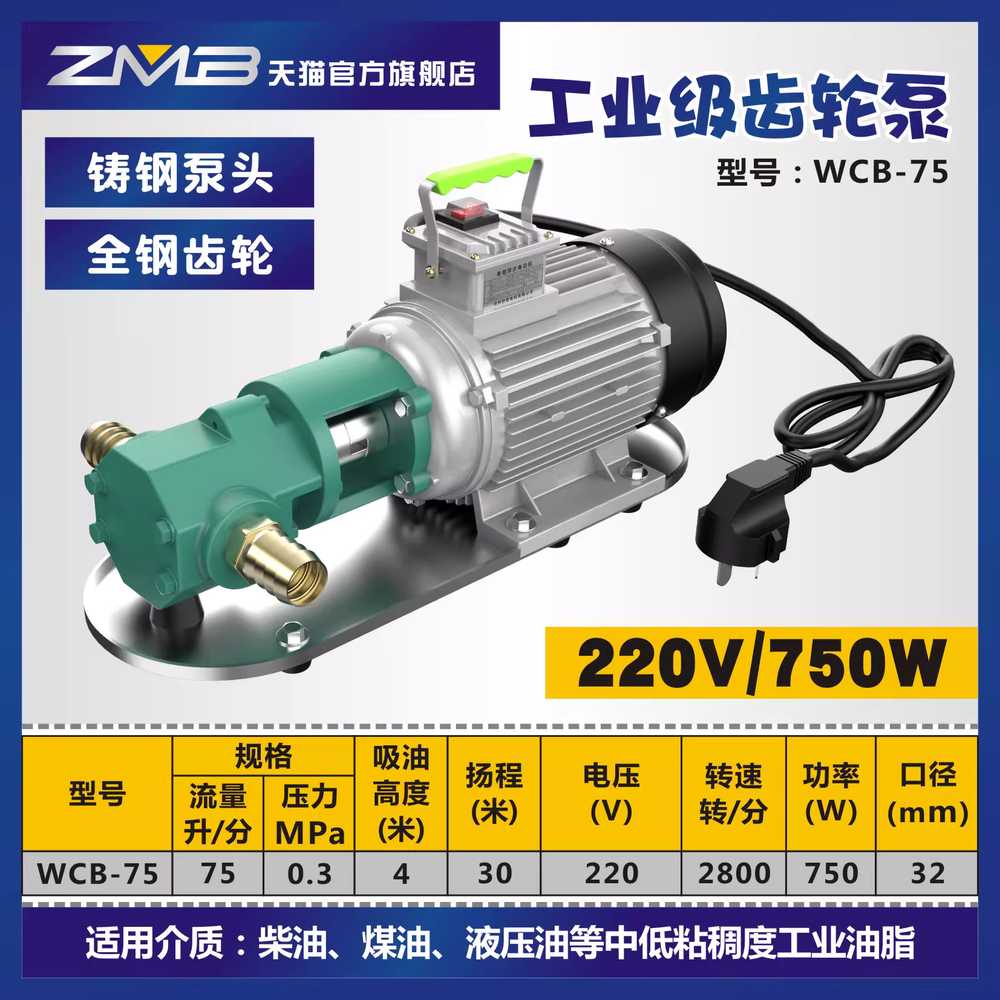기어펌프 유량 농기계 저압 고유량 급유 모터 페인트 750W 30L 220V 이미지 6