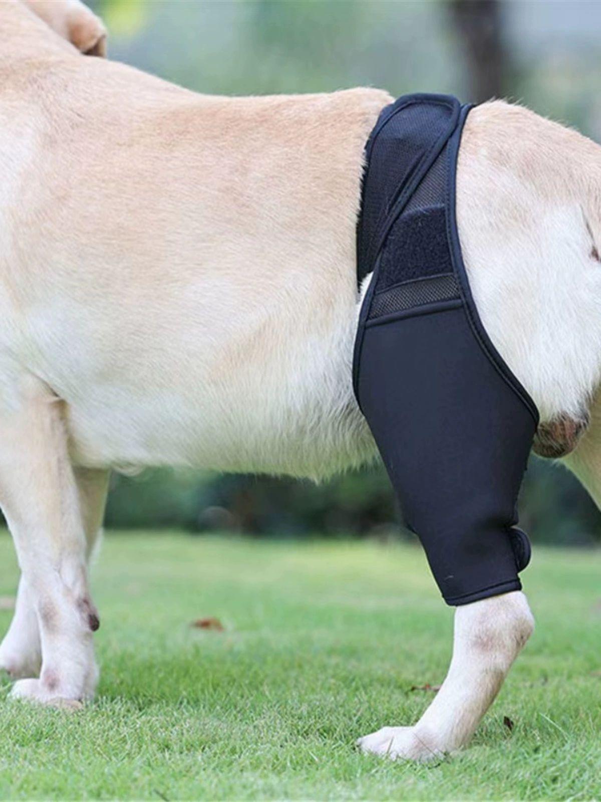 강아지 관절 보호대 재활 보조 슬개골 탈구 방지 보행 S 7.5-15.0kg - 상세 이미지 3