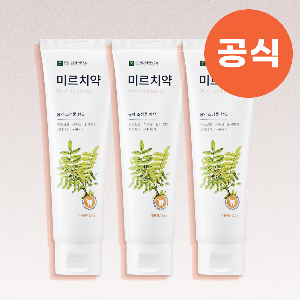 잇몸건강 입냄새제거 구취제거 잇몸 백태 몰약치약 미르치약 120g, 3개 제품 이미지