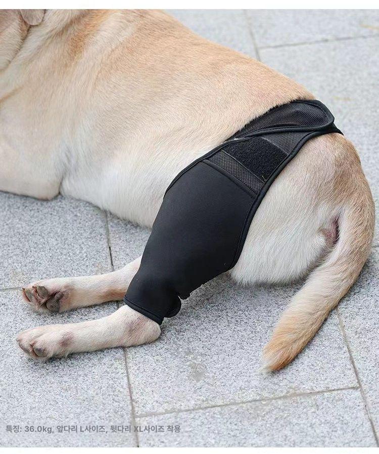 강아지 관절 보호대 재활 보조 슬개골 탈구 방지 보행 S 7.5-15.0kg - 상세 이미지 2