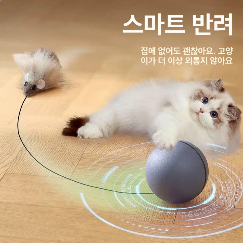 고양이 장난감 지능형 연습기 흔들기 놀이 랜덤뽑기 그레이 스마트캣티저볼 - 상세 이미지 3
