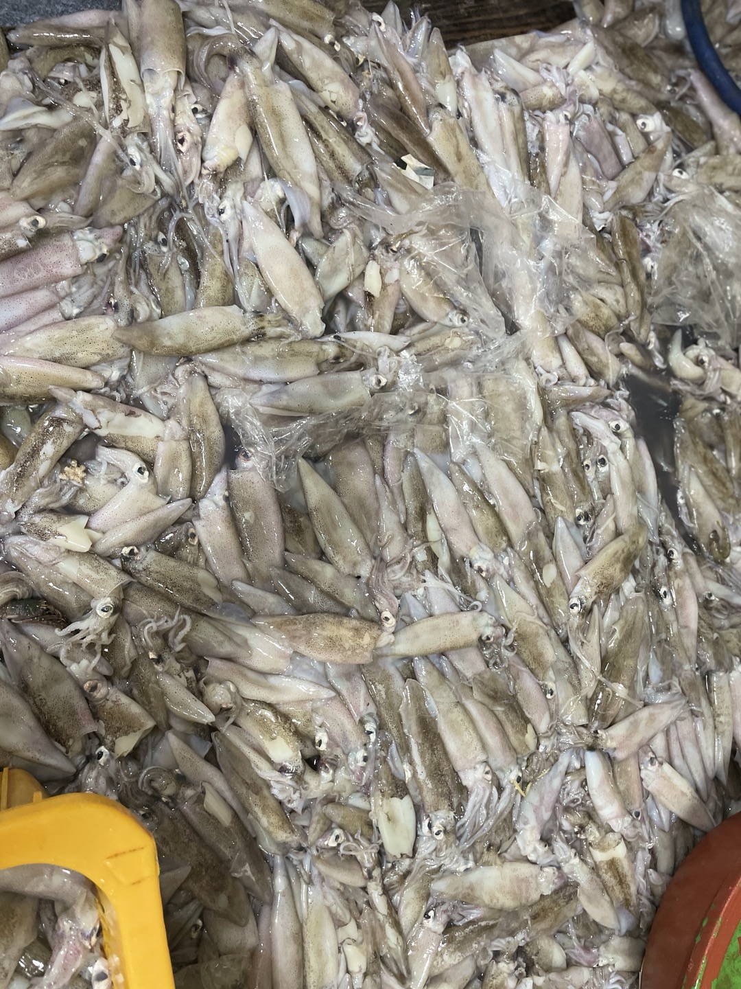 총알 한치 미니 오징어 통찜 1kg 이미지 8