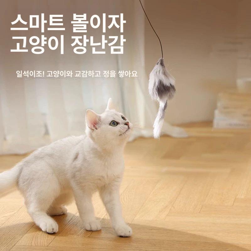 고양이 장난감 지능형 연습기 흔들기 놀이 랜덤뽑기 그레이 스마트캣티저볼 - 상세 이미지 5