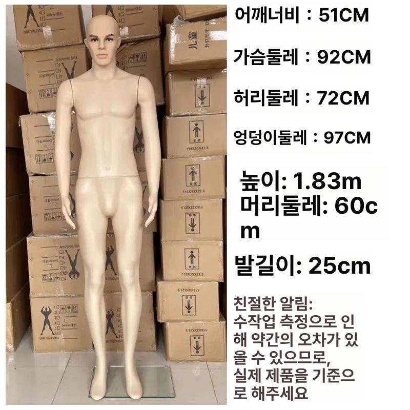 전신 피팅용 란제리 거치대 촬영용 플라스틱 매장 전시대 여성 - 상세 이미지 2