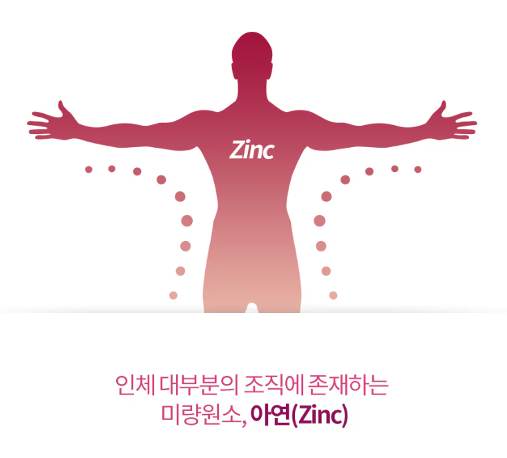 엔젯오리진 어린이 면연력 아연 영양제 키즈 초등학생 중학생 청소년 70구미, 6개 - 상세 이미지 4
