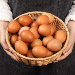 무정란 계란 30구 특란 달걀 맛있게 먹은 솔직 후기 - 상품 이미지 3