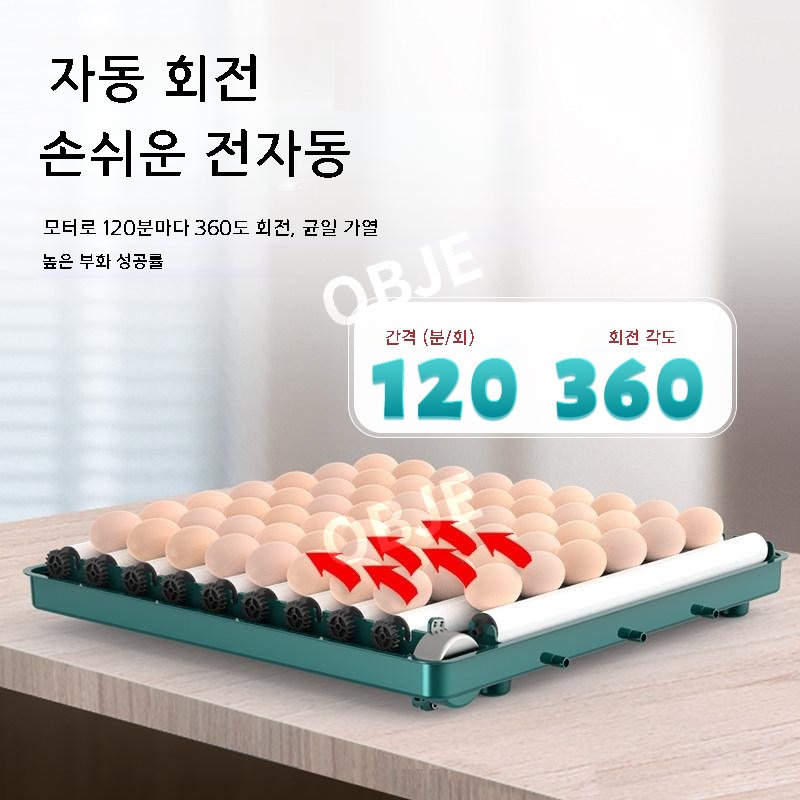소형 병아리부화기 스마트 자동회전 검란 메추리 인큐베이터 - 상세 이미지 4