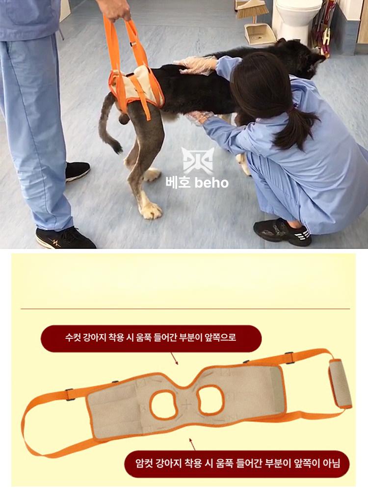 강아지 슬개골 보조기구 보행 견인 대형견 벨트 등받이 보조 스트랩 S 허리둘레 28~36cm - 상세 이미지 4