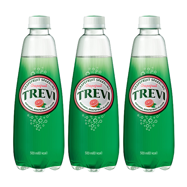 롯데 트레비 자몽 500ml x 20페트