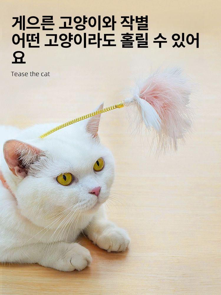 고양이 목걸이 새끼 방울 용수철 체력 강아지 용품 핑크 - 상세 이미지 2