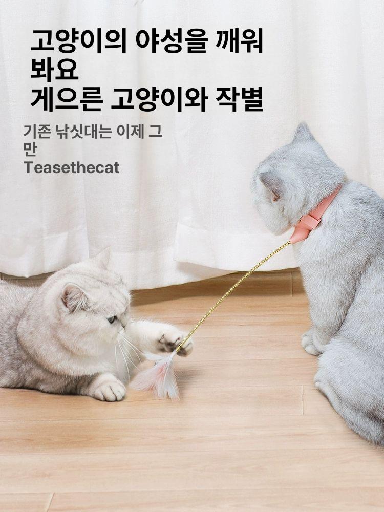 고양이 목걸이 새끼 방울 용수철 체력 강아지 용품 핑크 - 상세 이미지 3