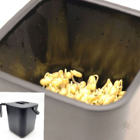 가정용 콩나물 재배기 깊은 수경재배 키트 새싹채소 재배통 실내 텃밭 채소 키우기