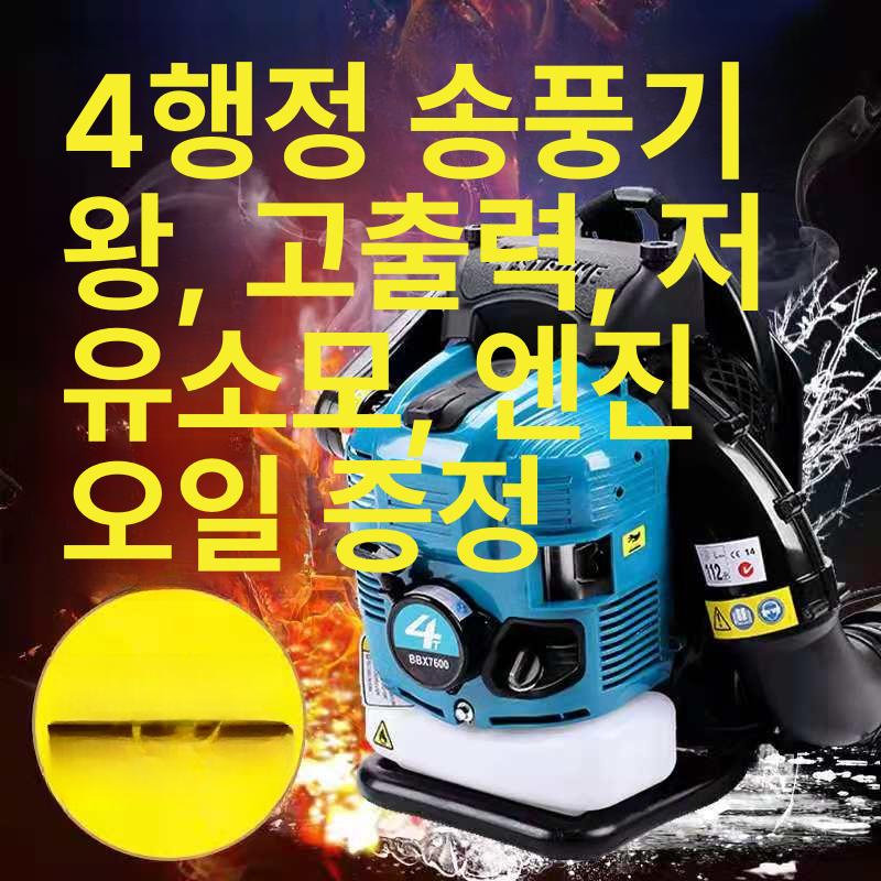 낙엽송풍기 부로와 제설기 브로아 엔진 낙엽청소 4행정 EB850 클래식 6.5마력 - 상세 이미지 2