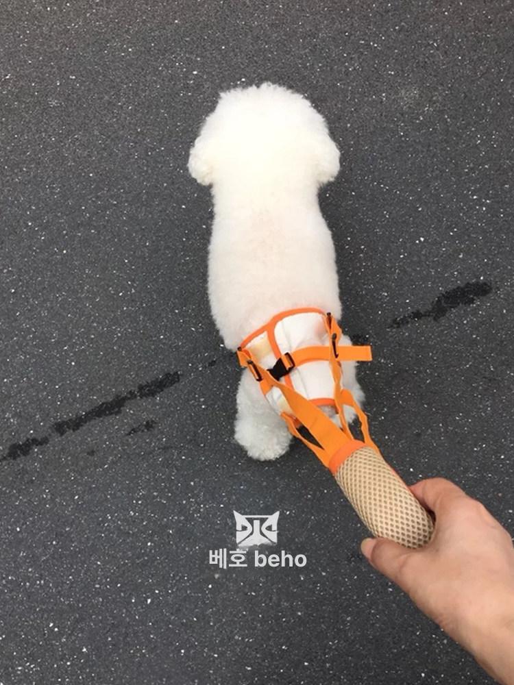 강아지 슬개골 보조기구 보행 견인 대형견 벨트 등받이 보조 스트랩 S 허리둘레 28~36cm - 상세 이미지 3