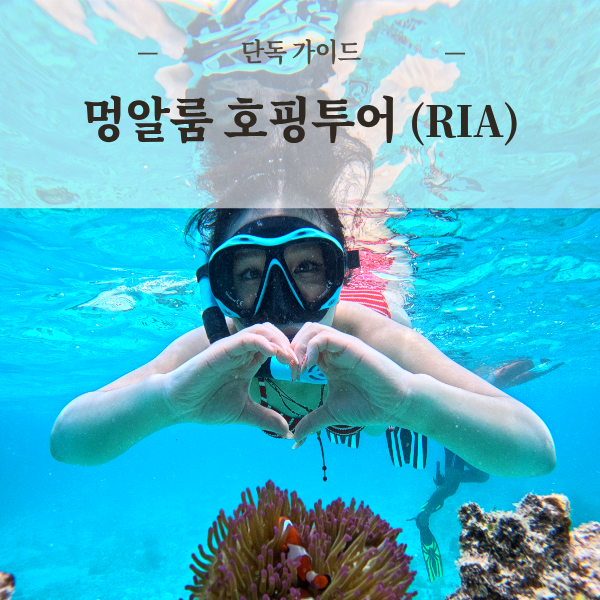 코타키나발루 멍알룸 보트 스노클링 프리다이빙 단독 가이드 RIA 호핑투어 섬투어 체험다이빙
