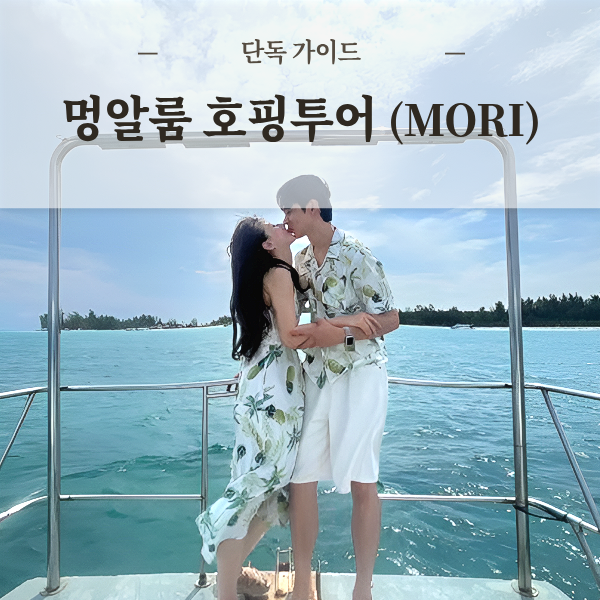 코타키나발루 멍알룸 섬 호핑투어 단독투어 프리다이빙 퍼시픽 마젤란 수트라 하버 출발 섬투어