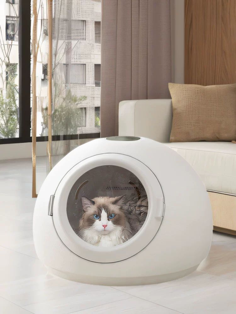 고양이 건조기 강아지 털말리기 송풍기 애완 빗드라이기 800W 55L 기본 버전 화이트 - 상품 이미지