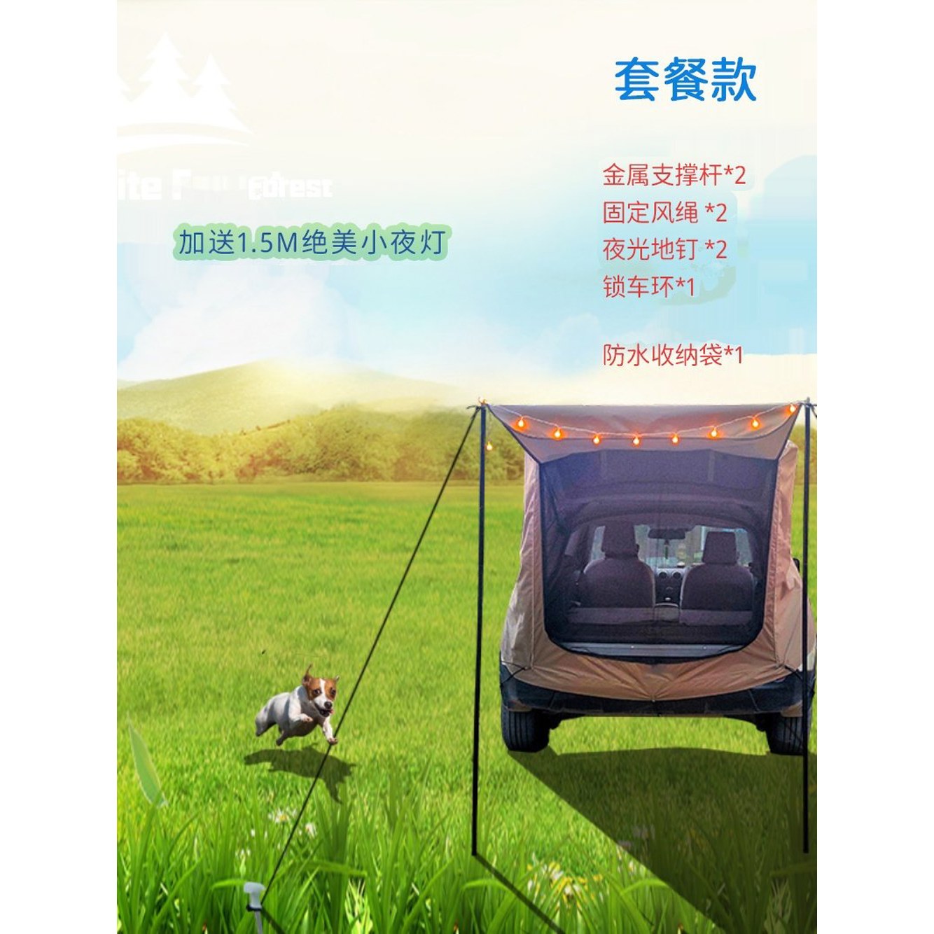 베이직 검은 카크닉 꼬리텐트 패키지 루프 지원 차박용 1 스포츠칸 스포츠 블랙 1 블랙 베이직 - 상세 이미지 3